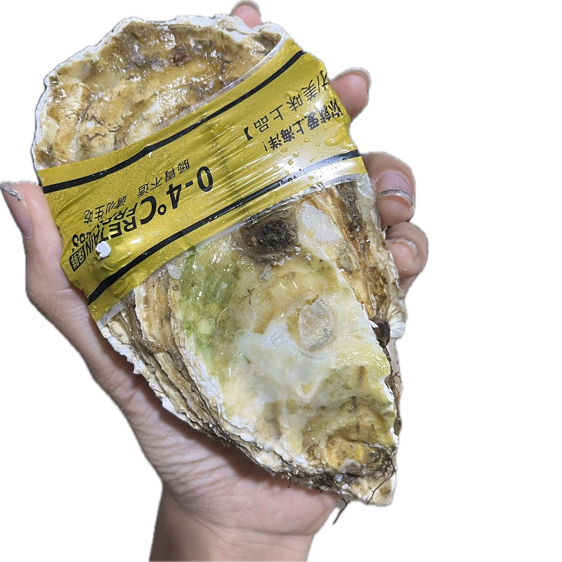 【当天现发】鲜活乳山巴掌大生蚝（7-10个）5斤±0.5斤