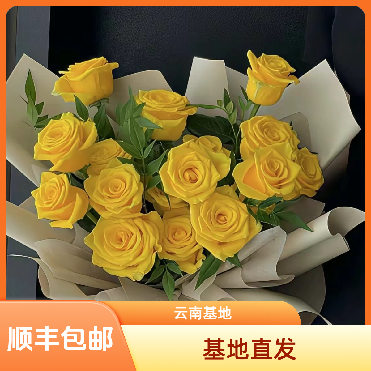 【花喜甄选】玫瑰的故事黄亦玫同款单头黄玫瑰鲜花云南直发顺丰包邮