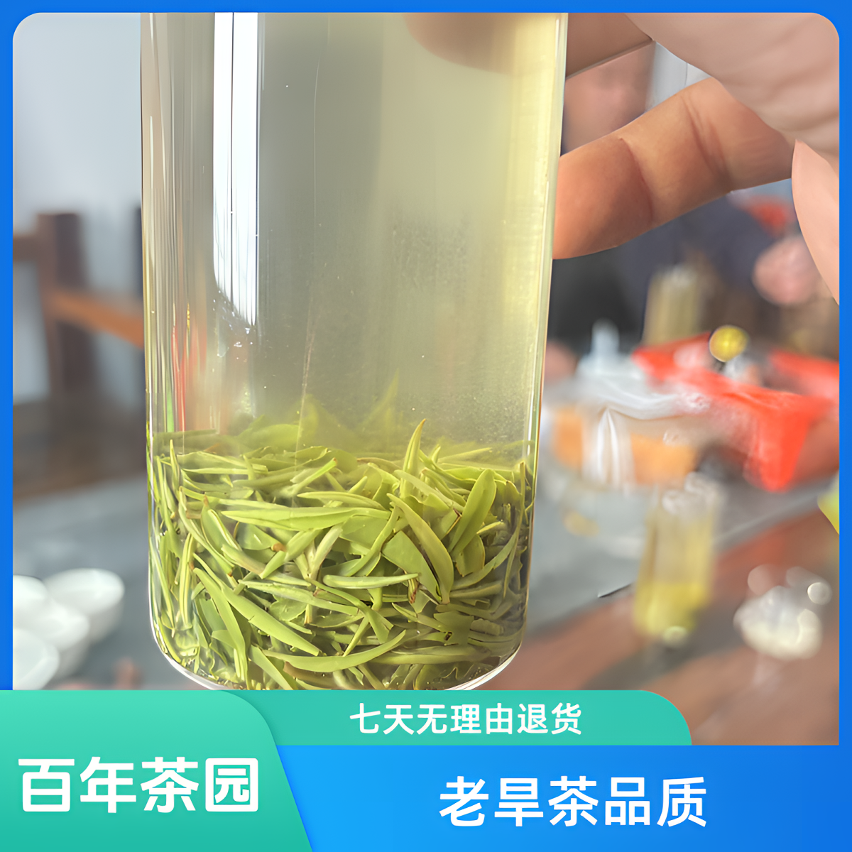 信阳毛尖2025年明前茶叶小中芽【老旱茶】