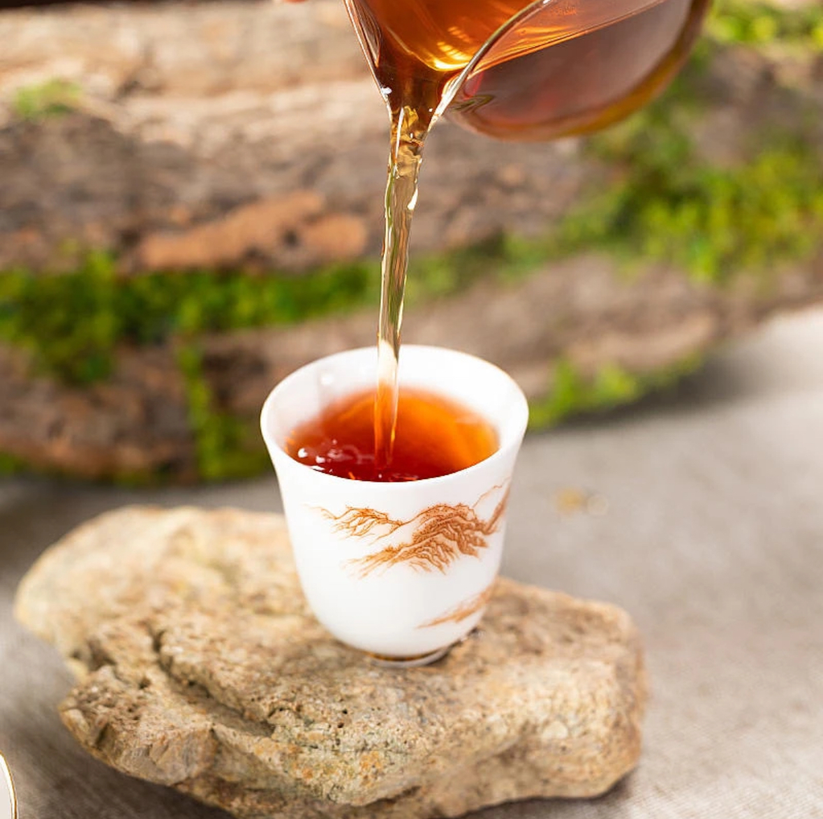 武夷岩茶 晚晚有好茶品牌茶专属福利01