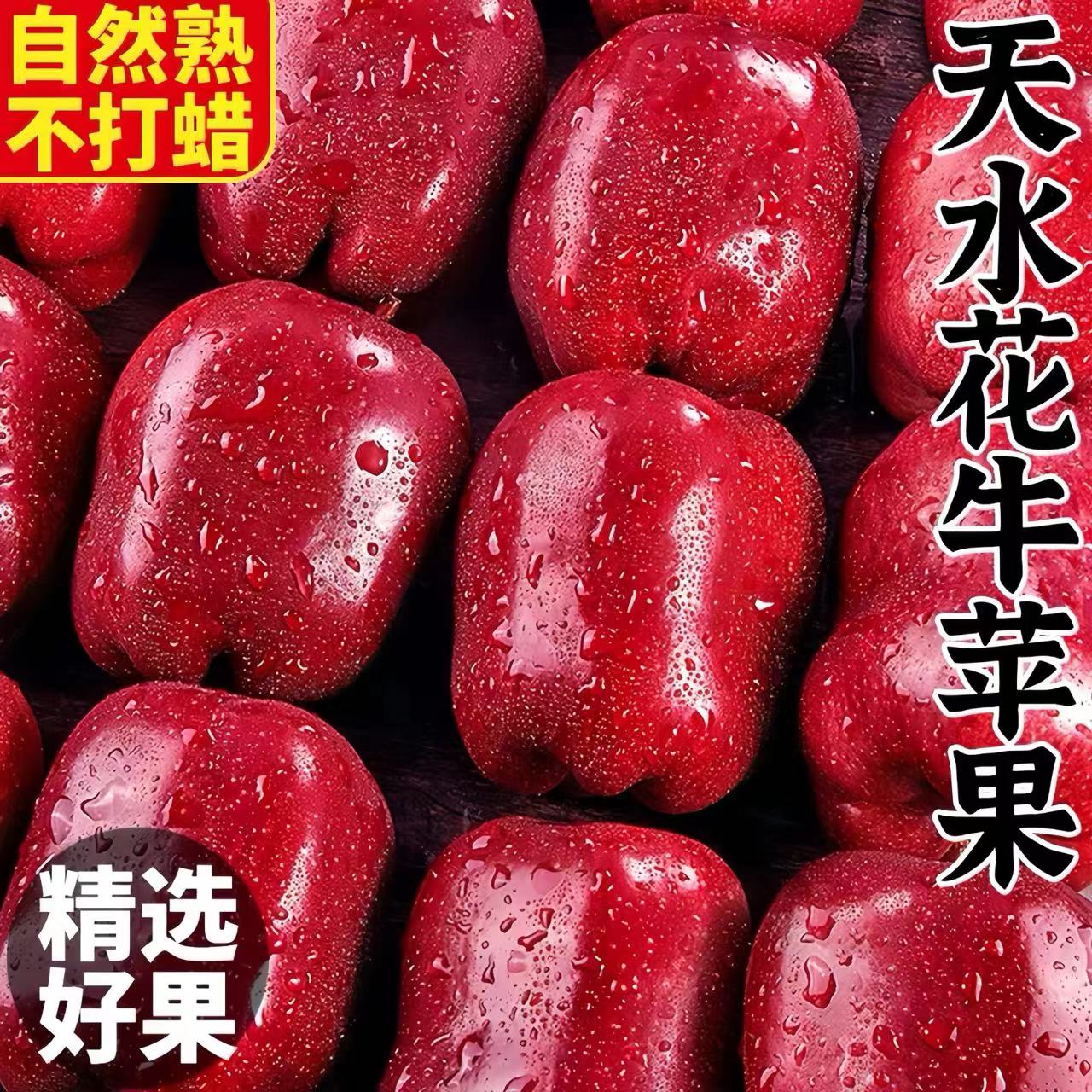 【辛平优选】正宗甘肃花牛苹果脆粉甜4.5-5斤