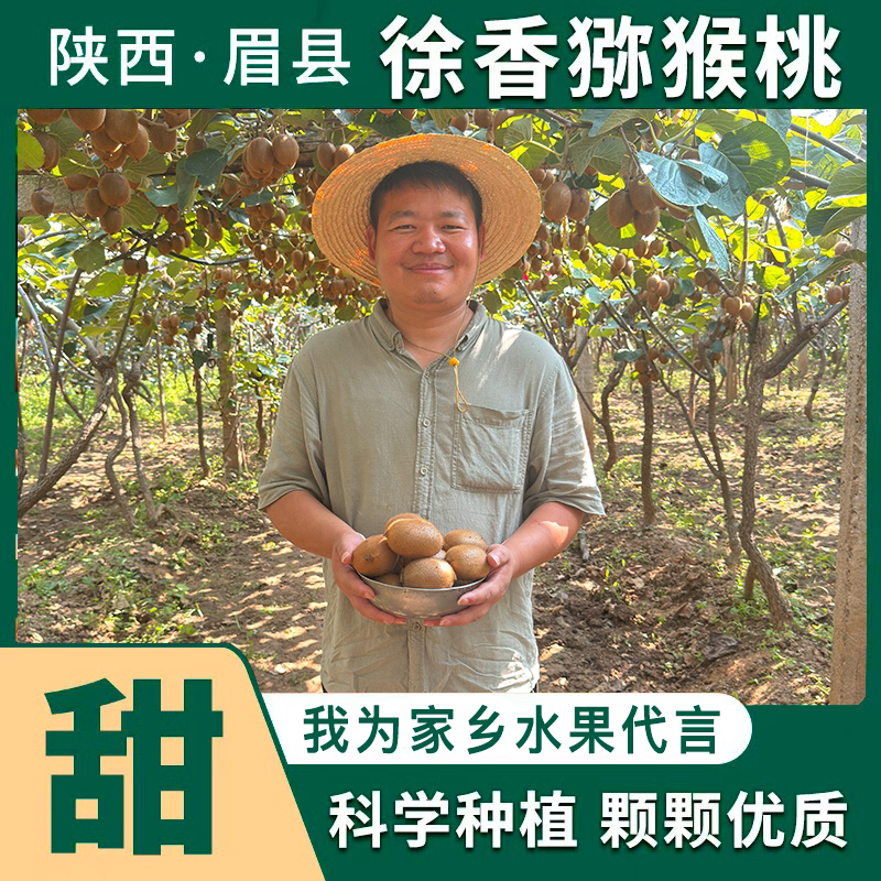 陕西眉县徐香猕猴桃原产地5斤箱装 中大果 现摘现发【京东包邮】