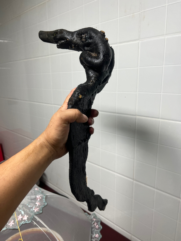 全场灌木金弹子老庄