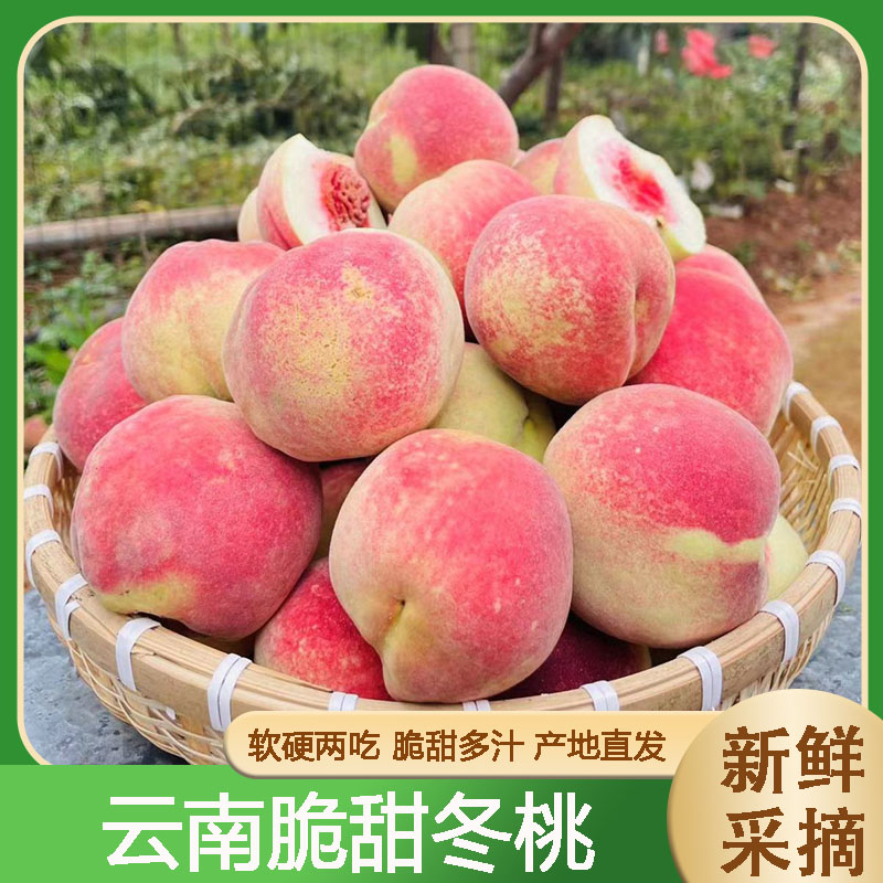 正宗云南冬桃子蜜桃新鲜水果脆甜可口离核小毛桃冬雪当季3/9斤