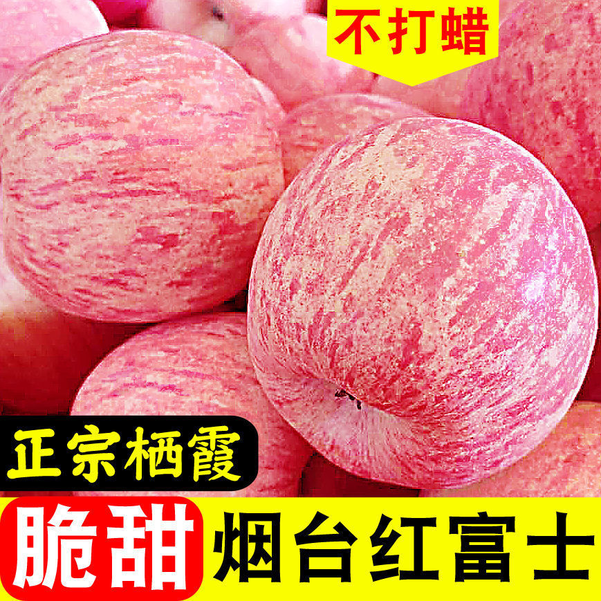 山东烟台红富士苹果新鲜脆甜水果冰糖心整箱包邮