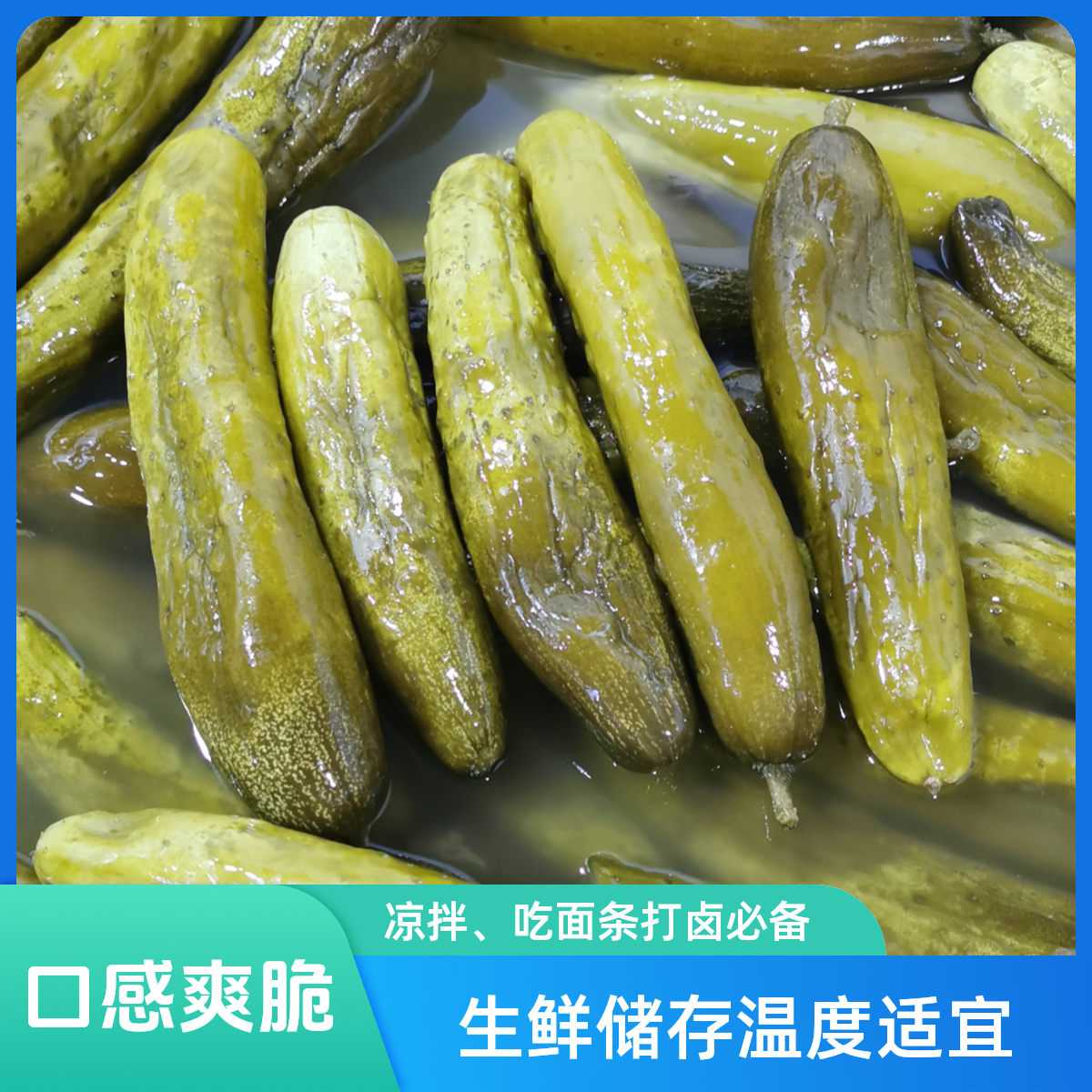 (自家腌咸黄瓜）2斤，凉拌、吃面条打卤必备