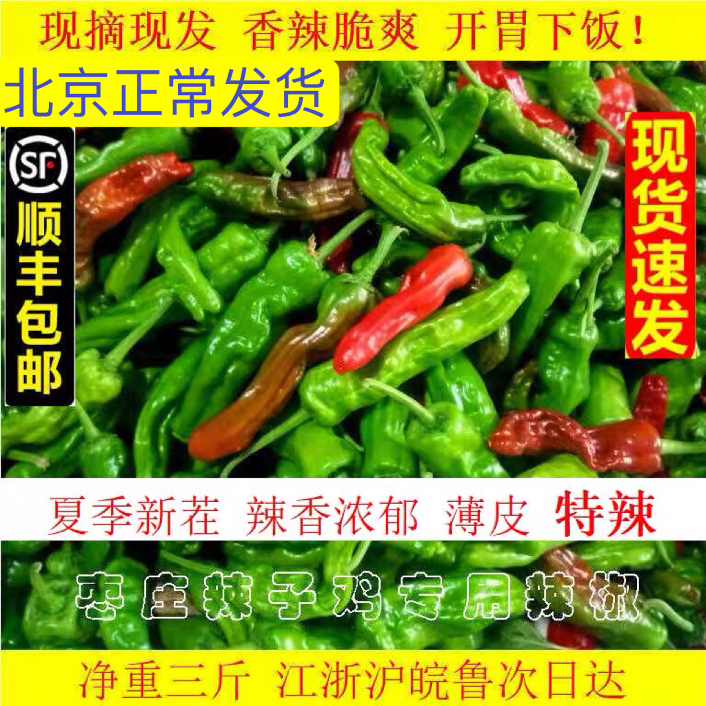 山东枣庄新鲜薄皮辣椒本地小皱皮炒辣子鸡炒肉特辣辣椒顺丰包邮