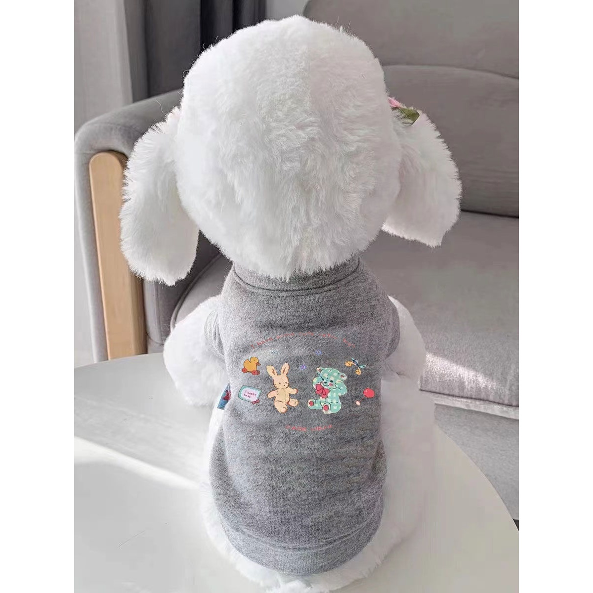 狗狗潮流衣服宠物比熊秋冬休闲加绒卫衣猫咪小型犬两脚衣泰迪博美