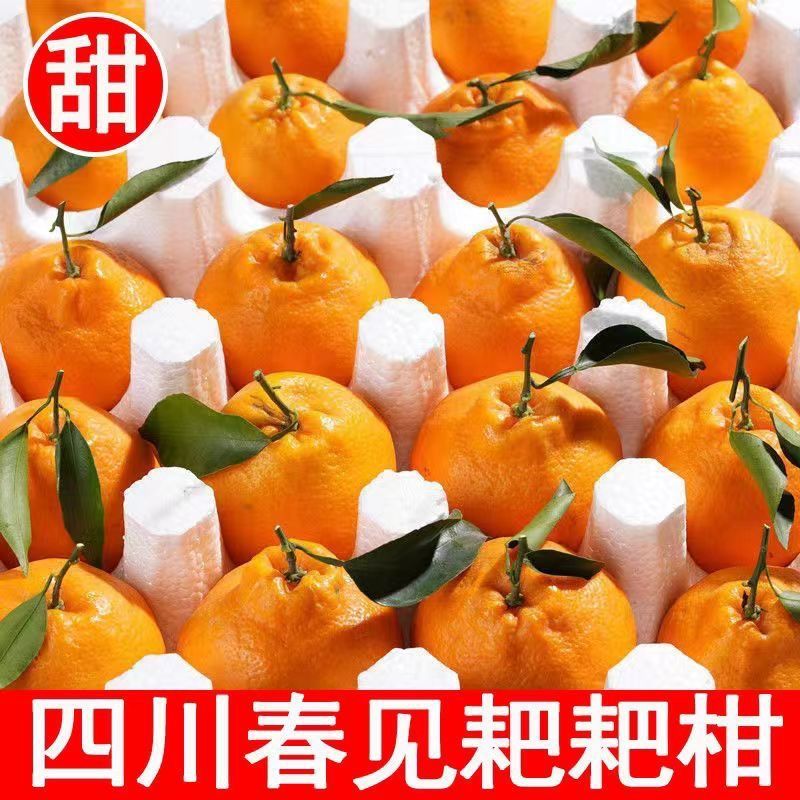 四川耙耙柑正宗火丑橘新鲜橘子当季水果桔子柑橘整箱时令精品大果
