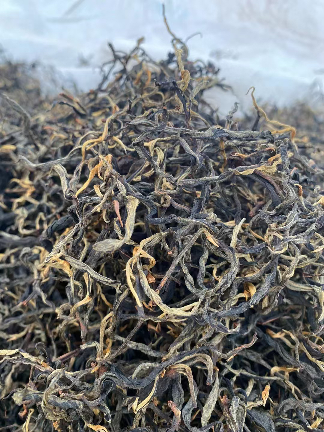 XINGYIQING/祥一清2025年忙肺核心区古树晒红香甜蜜香