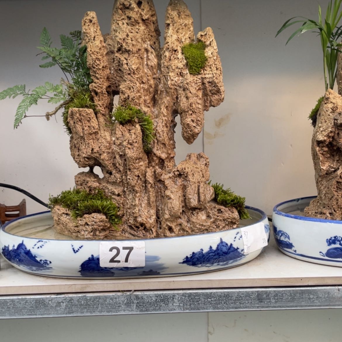 【闪购商品】红陶171cm(含)-200cm(含)种*启