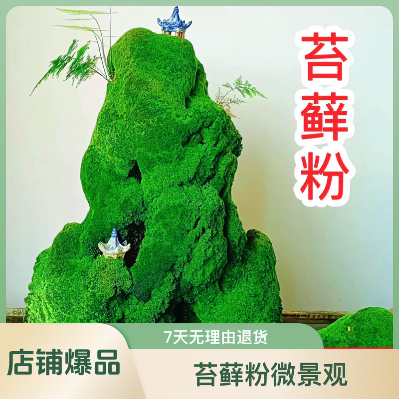 上水石吸水石盆景盆栽青苔苔藓粉微景观鲜活植物铺面
