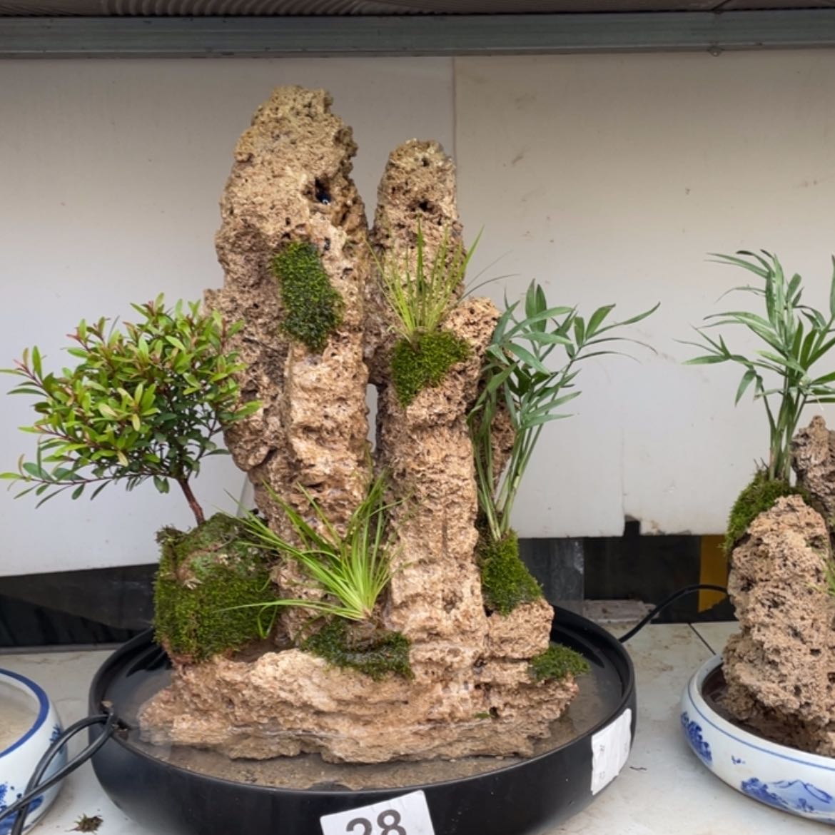 【闪购商品】红陶171cm(含)-200cm(含)用****6