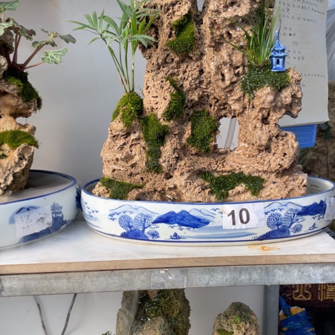 【闪购商品】红陶171cm(含)-200cm(含)凌*