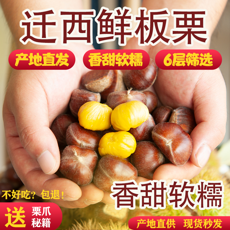 [批发]正宗迁西板栗河北板栗生新鲜栗子大油栗燕山甜板栗