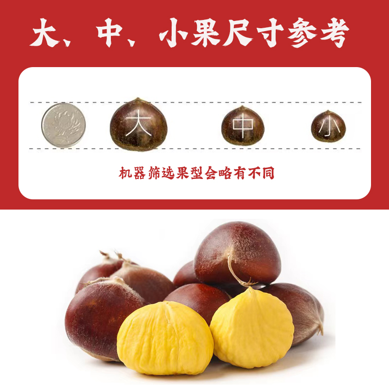 [老树中果]正宗迁西板栗河北板栗生新鲜栗子大油栗燕山甜板栗