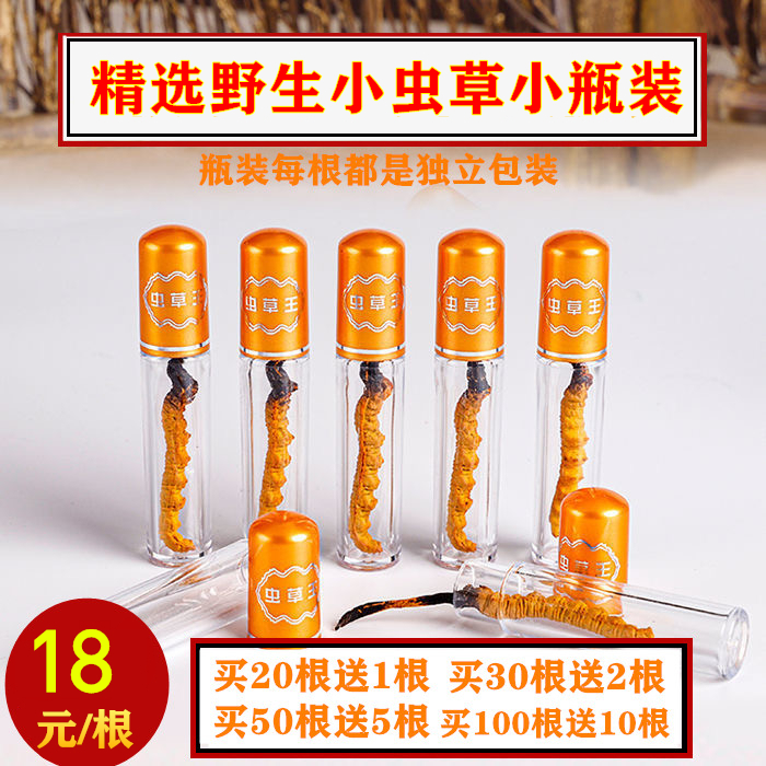 天然虫草独立真空包装小瓶装泡酒茶1根冬虫夏草虫草干货虫草干货