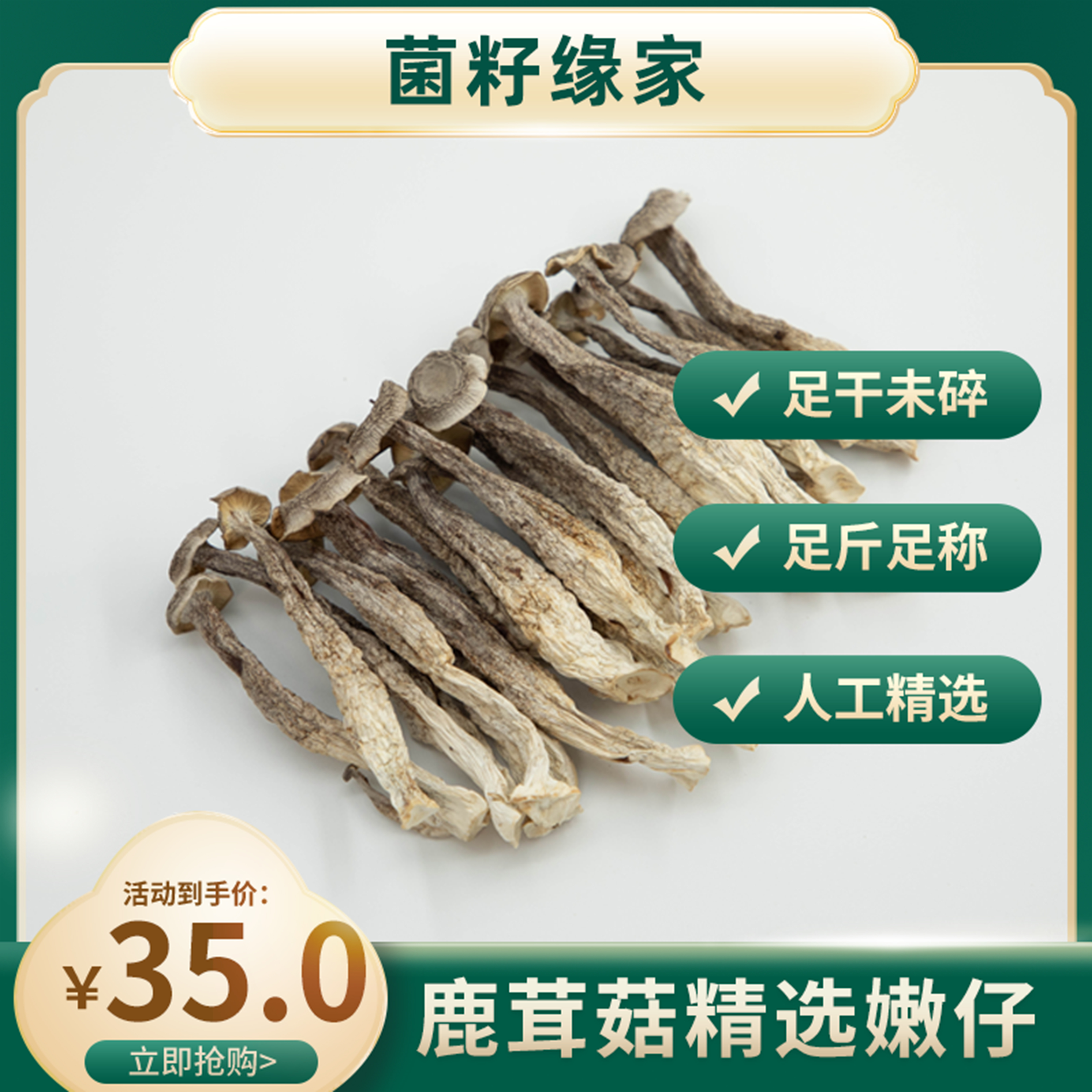 [菌籽缘]福建古田农家种植鹿茸菇250g-500g产地直发 【小嫩仔】