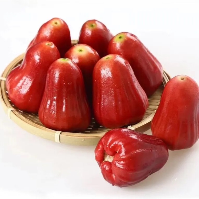 黑金刚莲雾两颗装一大一小汁水充足2颗