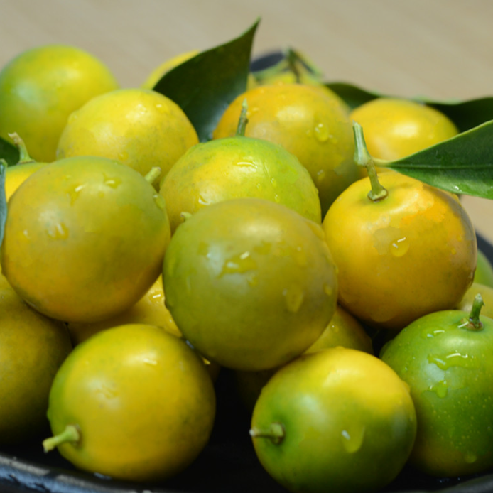 独立包装脆皮金桔脆甜多汁纯甜一斤四川省