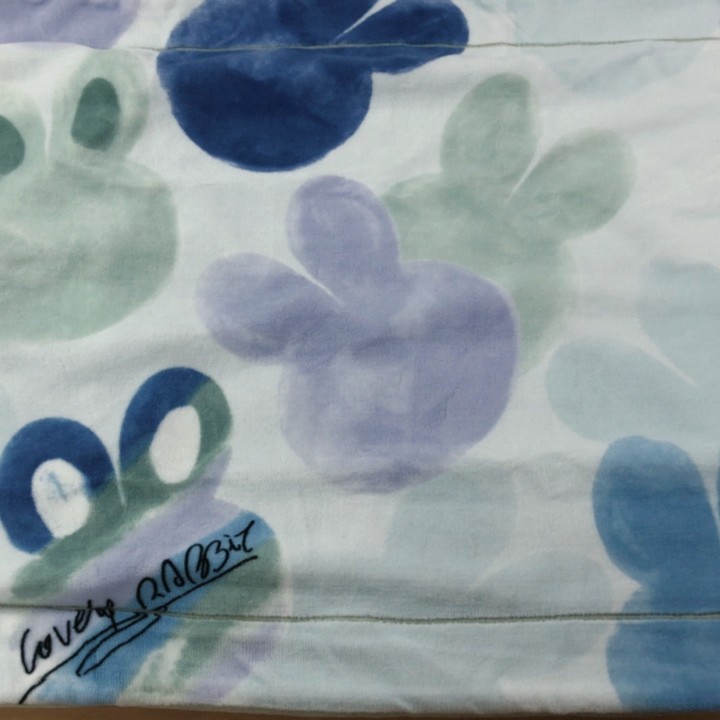 EILY 家居枕套一对（花型直播间为准）