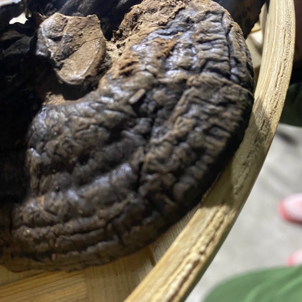【土特产】䗂-掌-沚净含量250g-500g