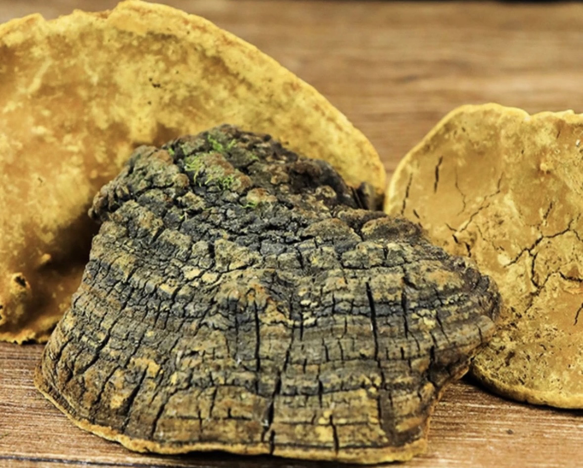 【土特产桑】簧净含量250g-1500g