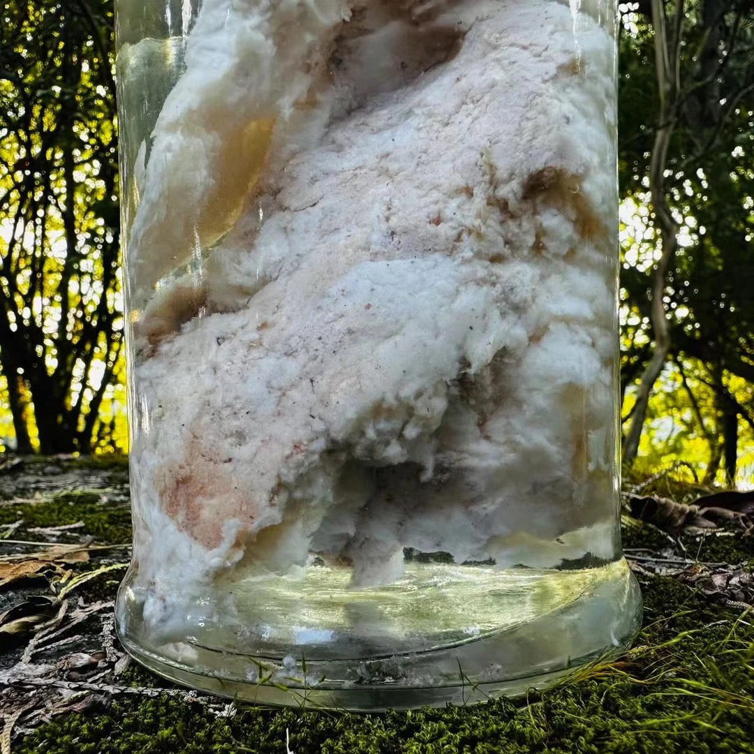 【土特产】石泰碎净含量50g-500g