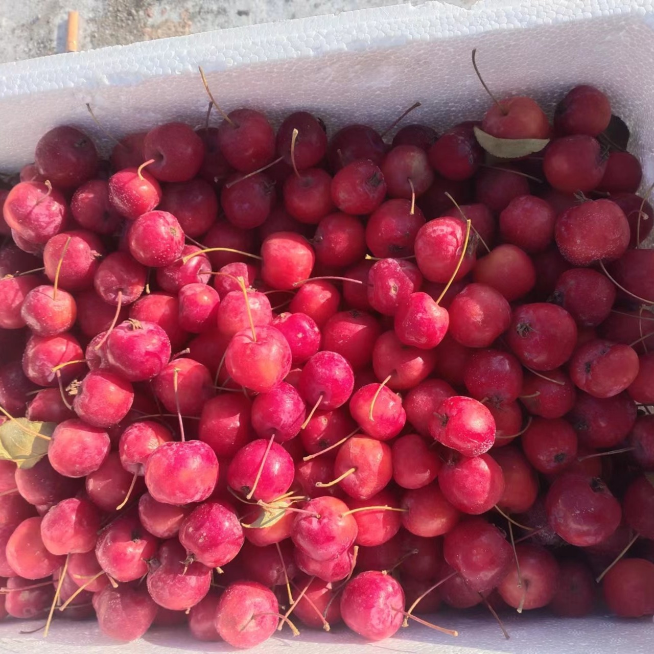 黑龙江花红农产品新鲜速冻