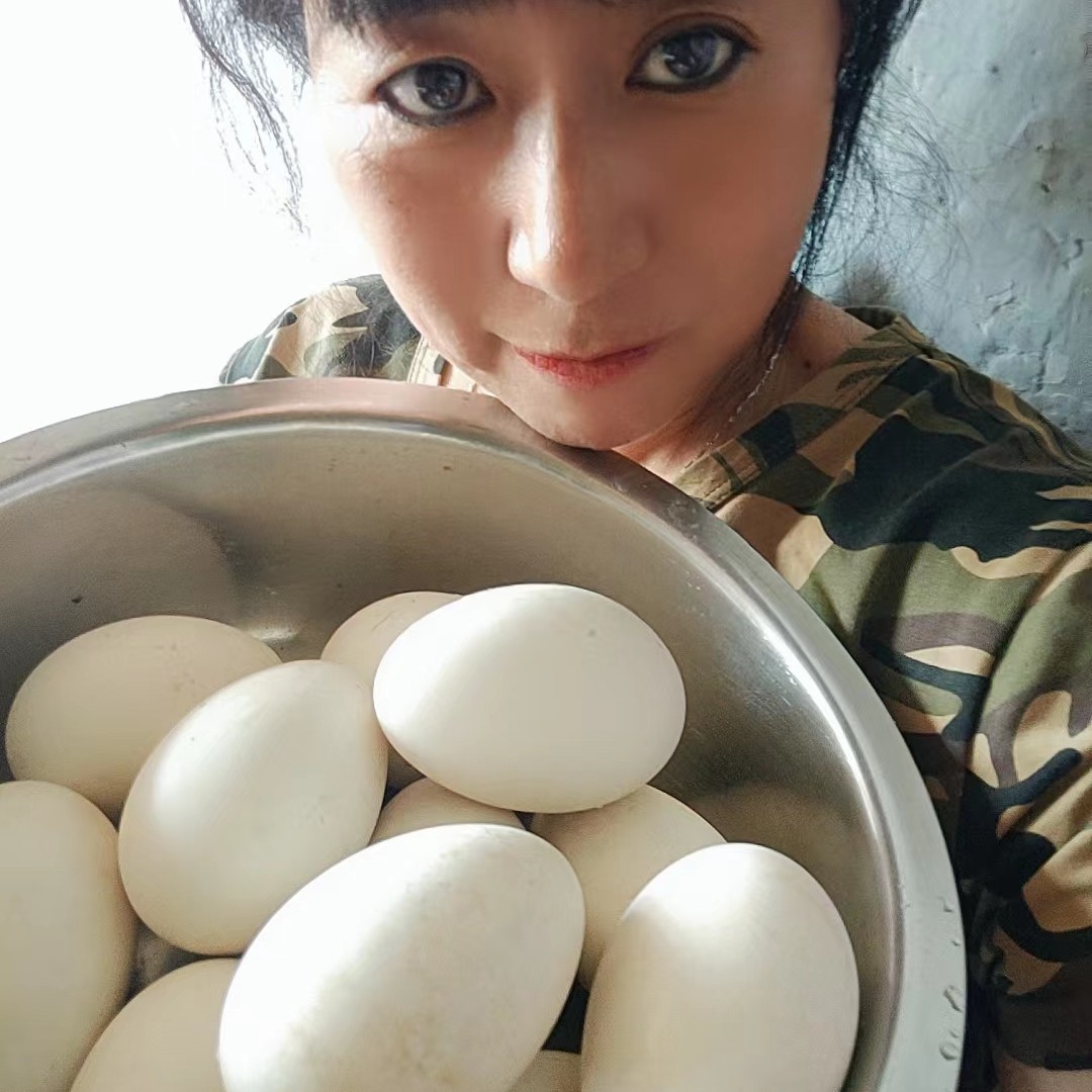 东北农家鹅蛋（24枚起）