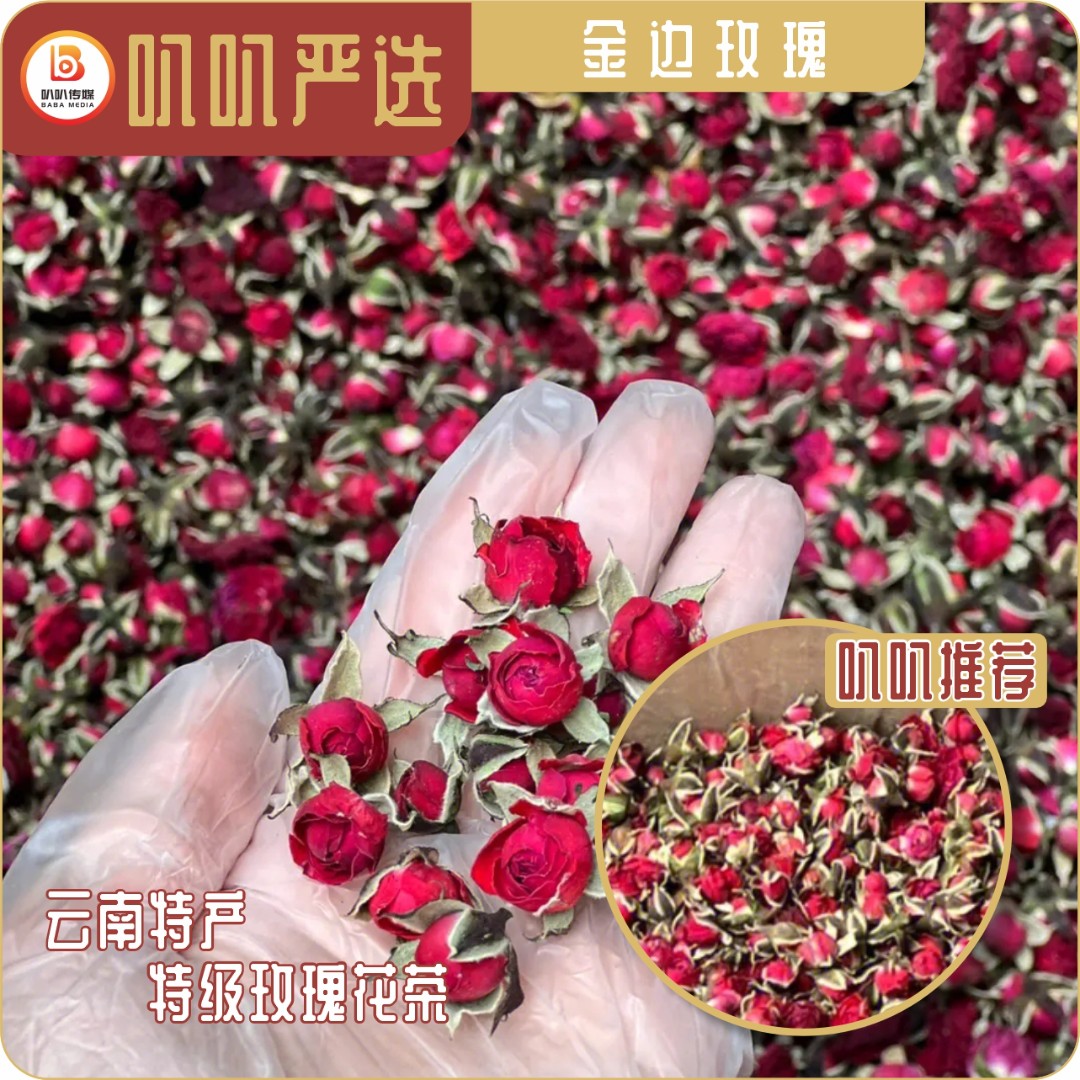 【权哥精选】金边玫瑰云南特产玫瑰花茶特级