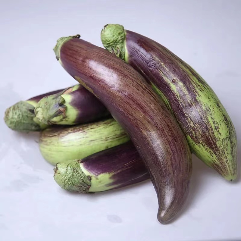 花茄子 面包茄子