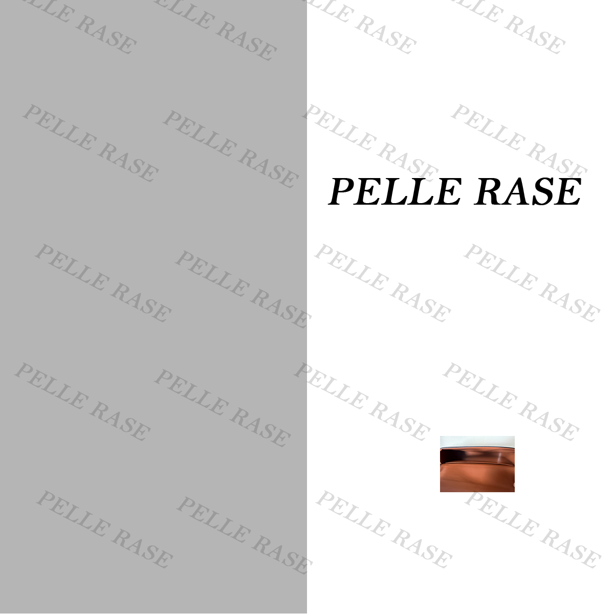 25.5cm鱼子酱百搭女士包包087