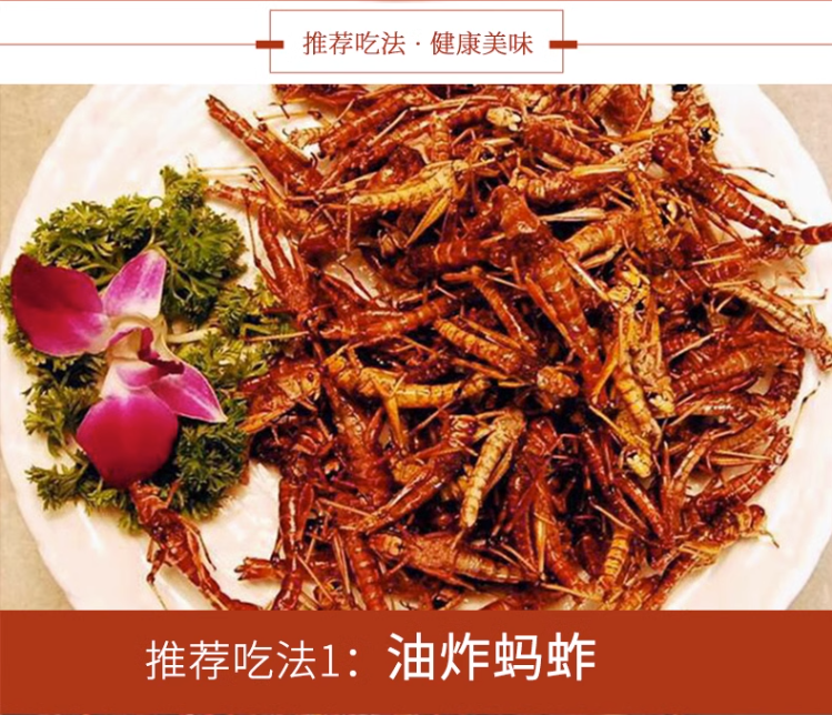 油炸蚂蚱香辣麻辣新鲜蝗虫鲜香美味精选丰富纯正特色小吃即食零食