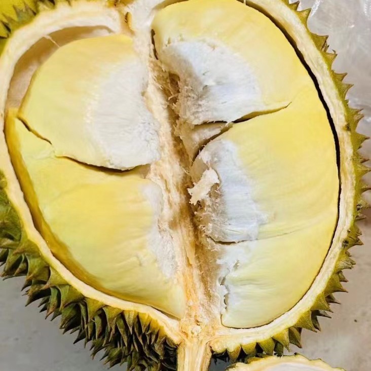 泰国金枕榴莲纯果肉两斤