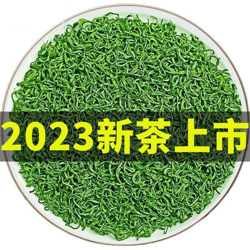 【一斤500g】高山云雾绿茶2023新茶毛尖云雾日照新茶浓香型茶叶炒