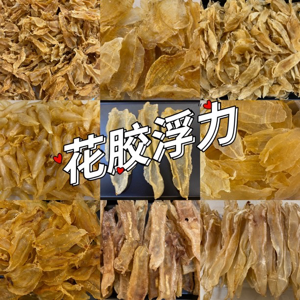 【花胶浮力】150头北海公胶 尖尾