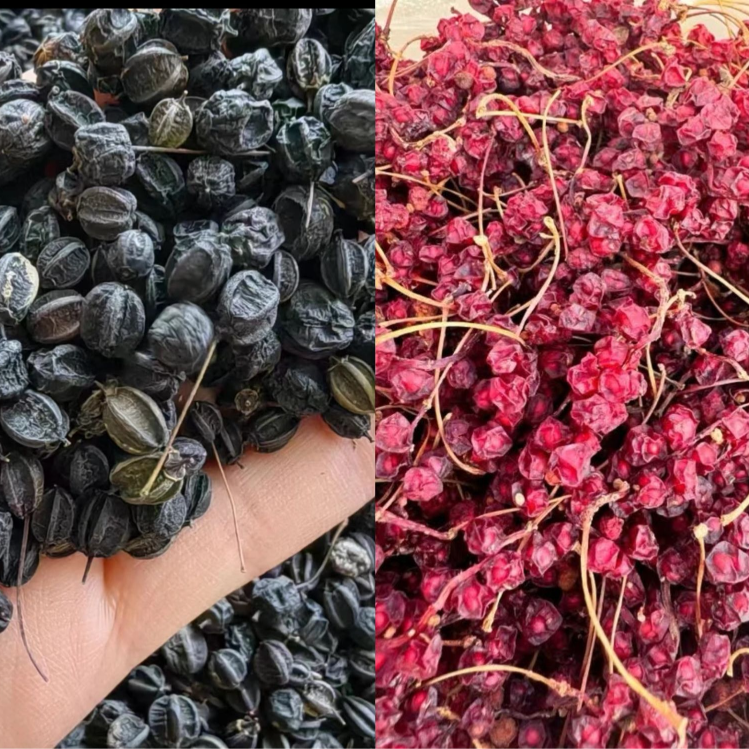 野生刺五加果半斤+野生五味果半斤