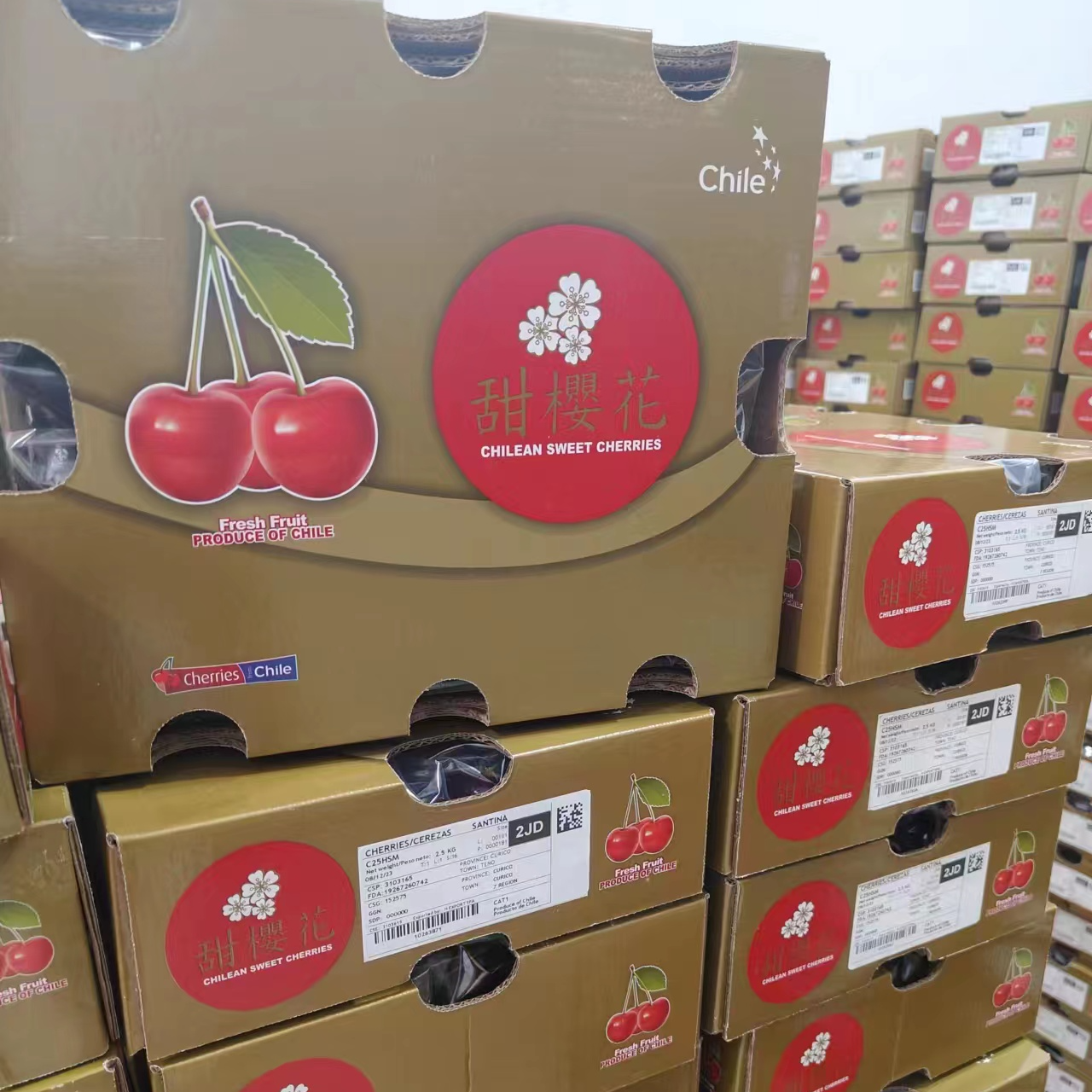 精品JJD车厘子5斤装