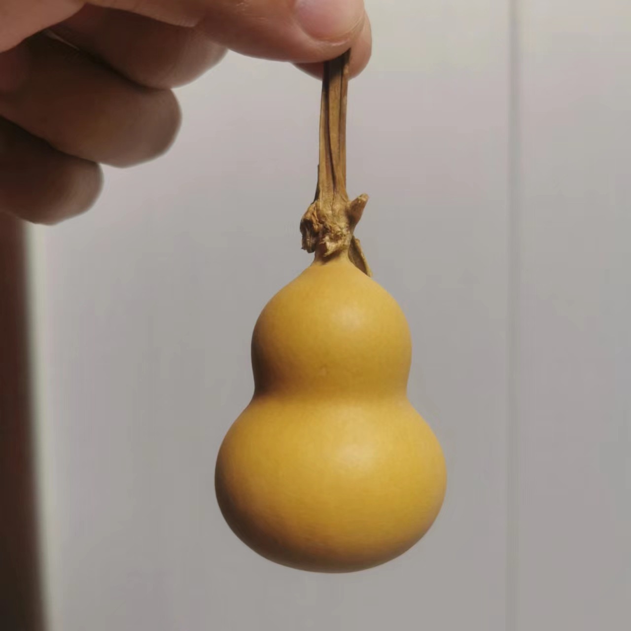 【二号】天然葫芦直播一物一拍