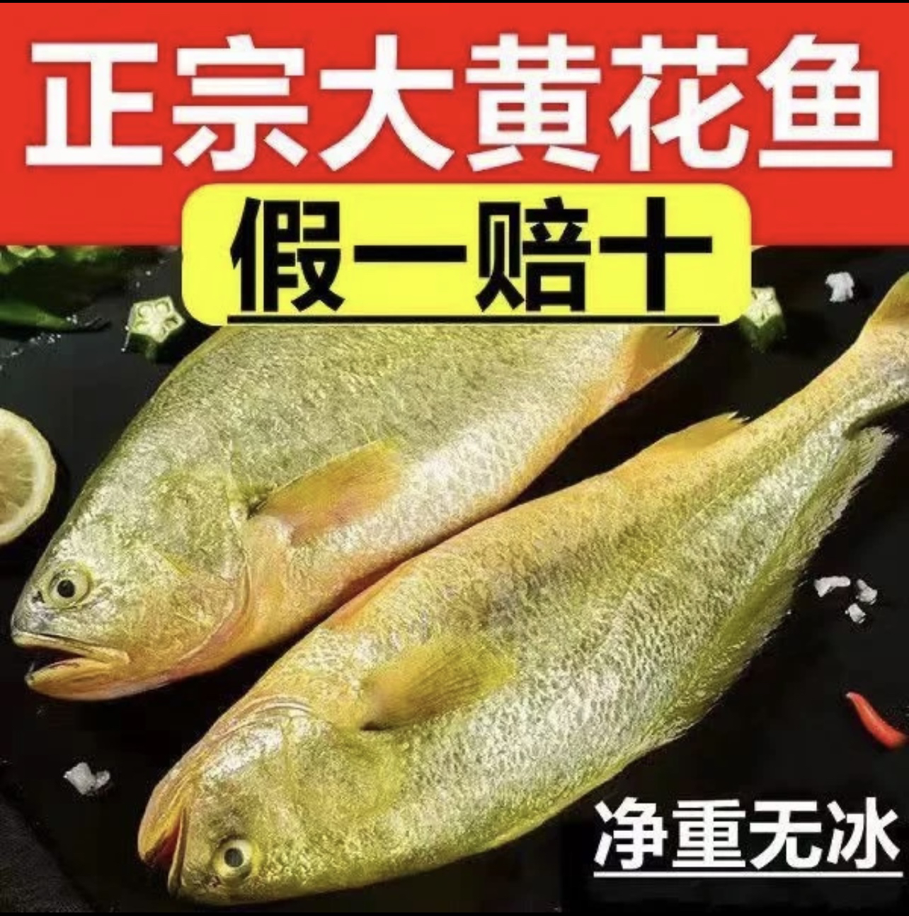日照发货 新鲜黄花鱼单条8到9两左右 顺丰运输