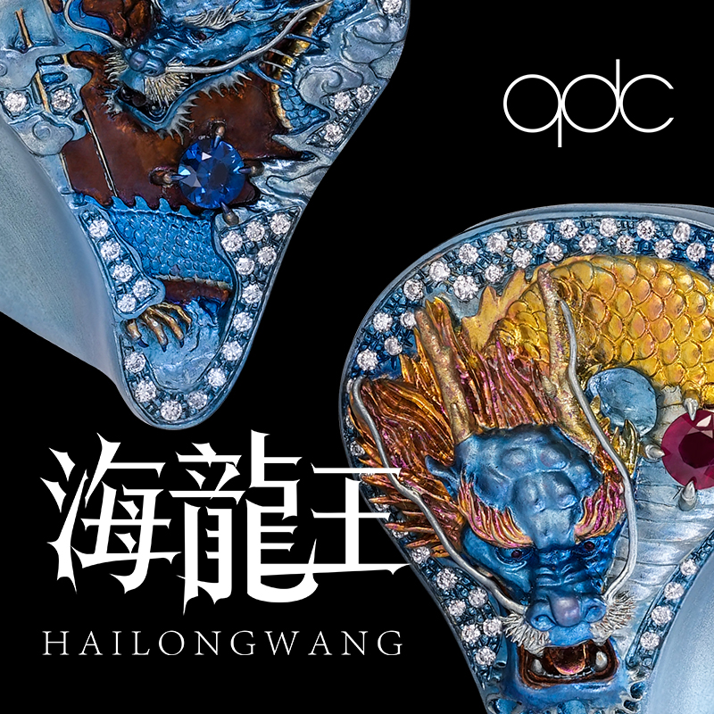 qdc海龙王龙年限定圈铁静电HiFi有线耳机个性定制10铁4静电1圈