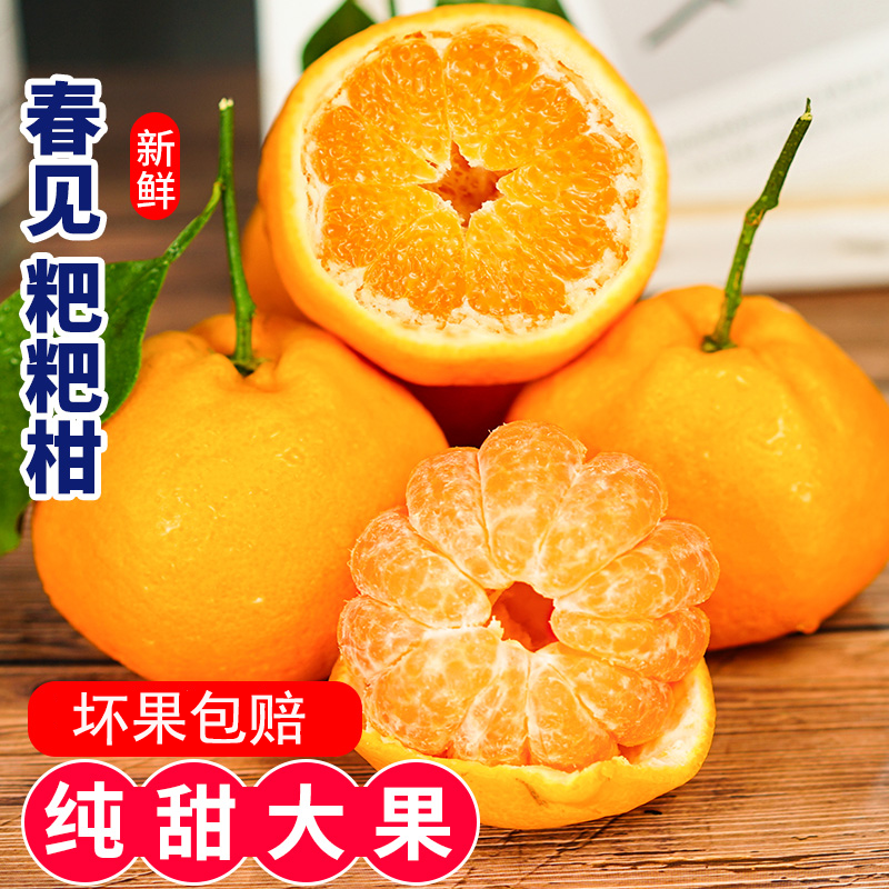 四川正宗春见耙耙柑粑粑柑丑桔橘水果新鲜当季整箱橘子杷杷柑多汁
