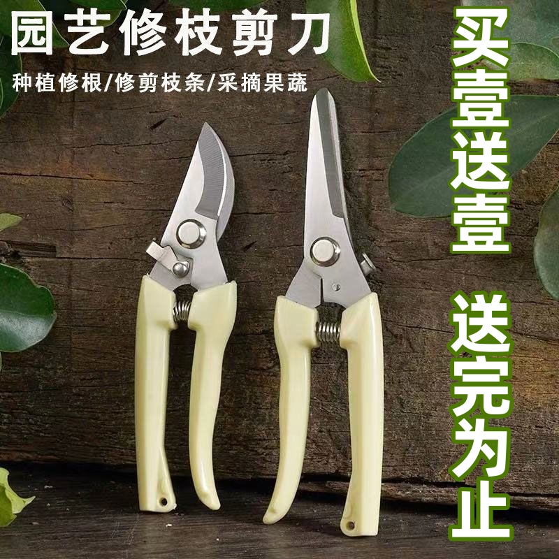 剪刀奶白色不锈钢修枝园艺摘果剪花艺剪刀插花工具家用剪园林家用