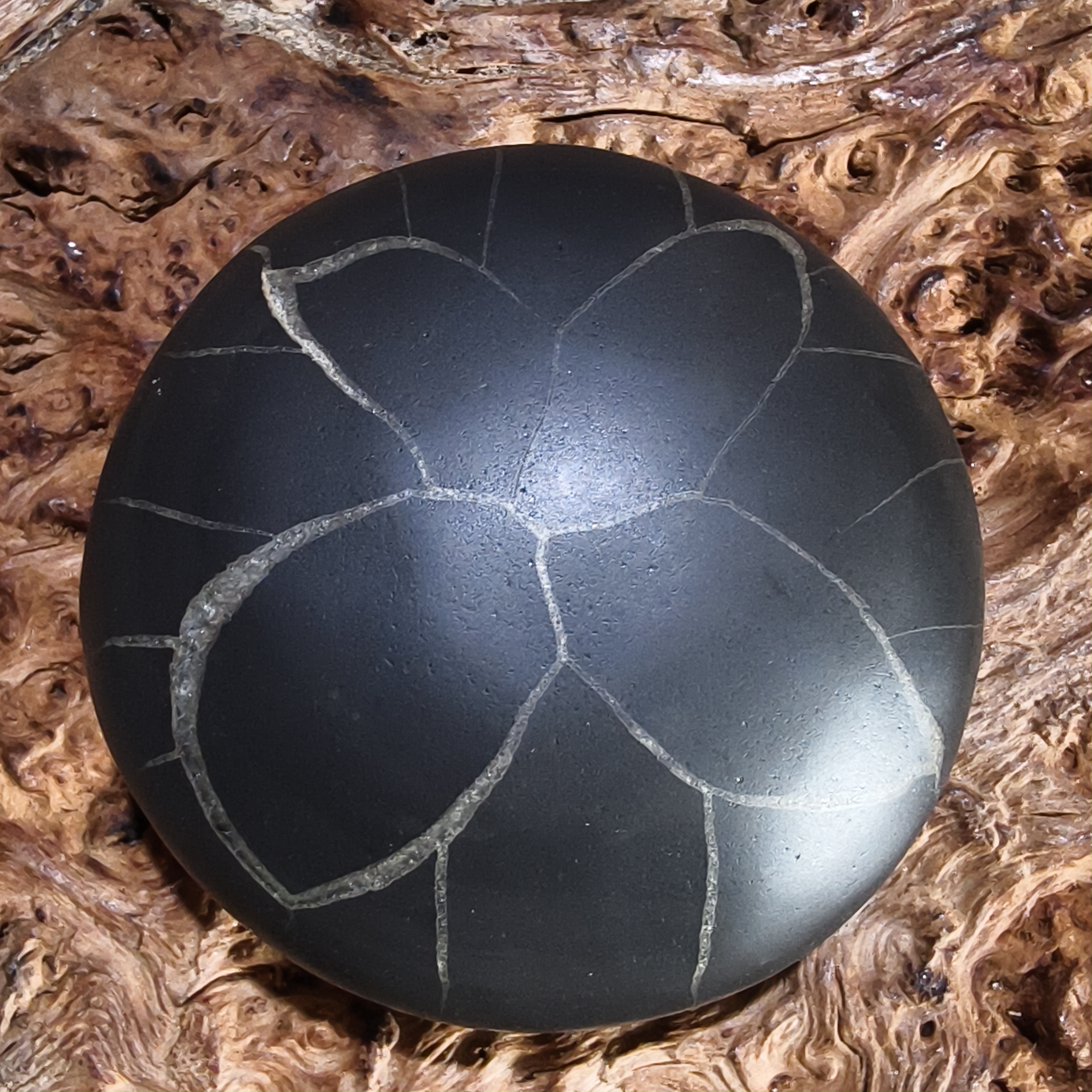 郴州龟纹石摆件精品手把件天然原石黑皮手把件