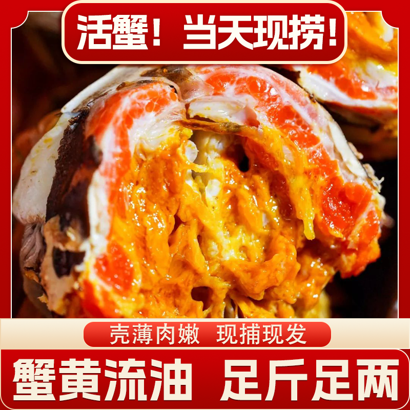 【活蟹】鲜活螃蟹 公2.5-2.2两 母2.1-1.8两 共10只