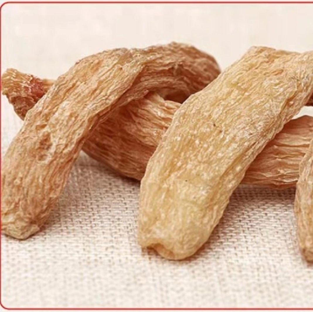 长白山  林下种植   干天  麻，鲜天  麻    净重500克