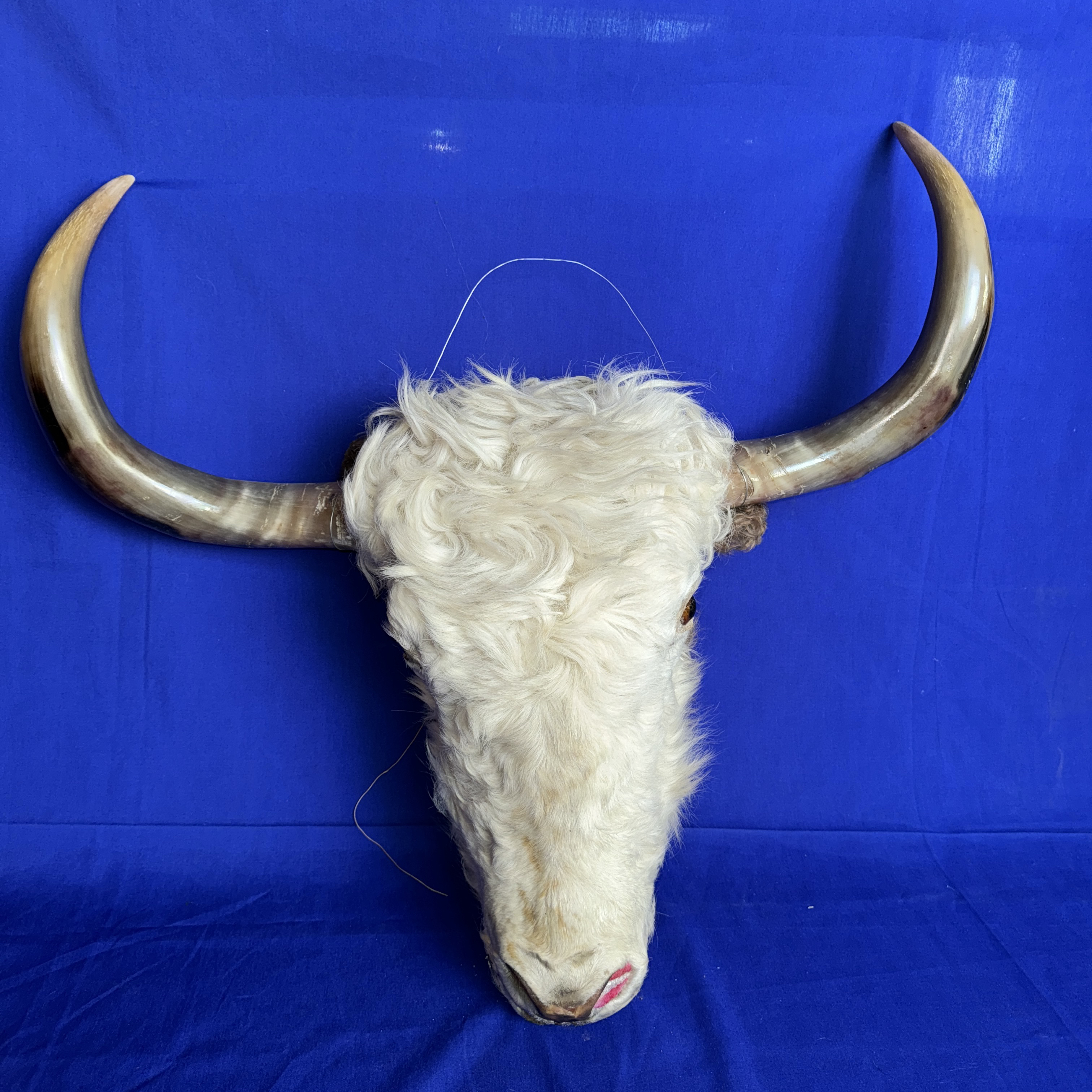 牦牛头骨加工包铜骨工艺品摆件家居装饰品