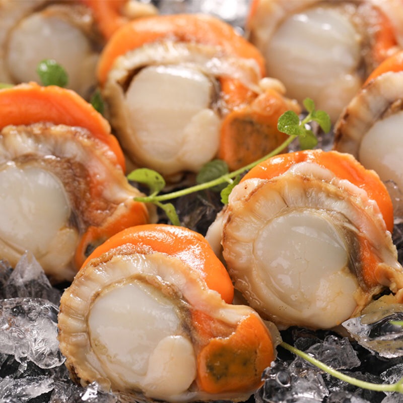 20/30大号北城红贝3斤/盒新鲜扇贝肉新货无冰连云港顺丰冷链发货