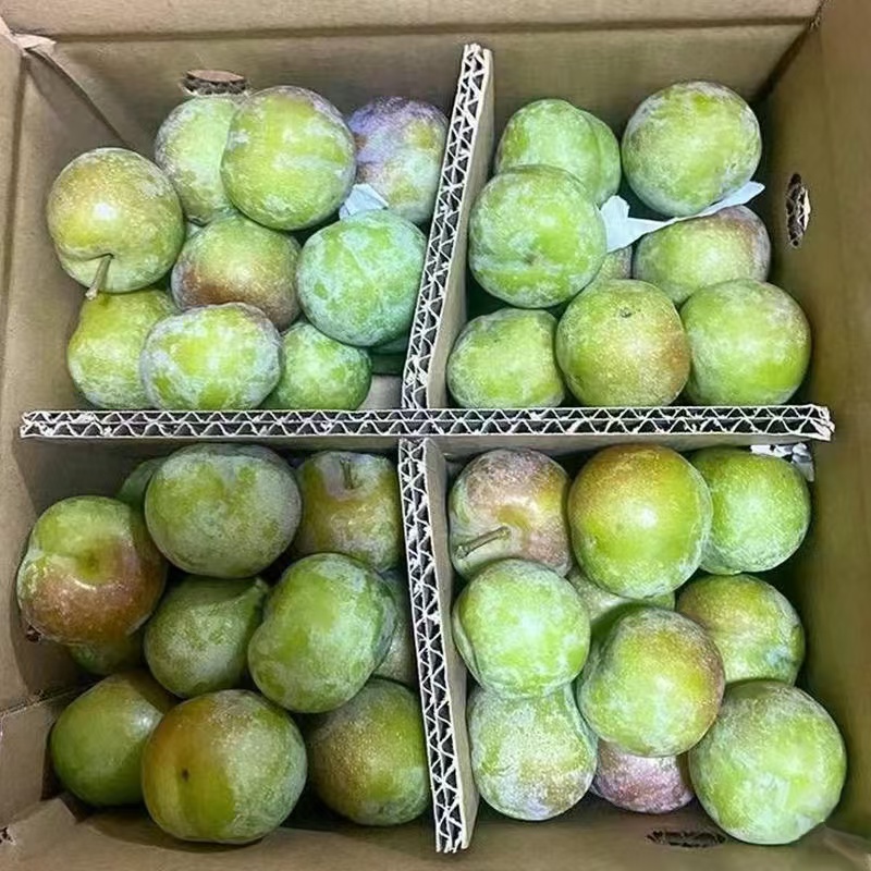 飞 九机峰山新鲜李子黄金奈李脆李子新鲜5斤装电商包装